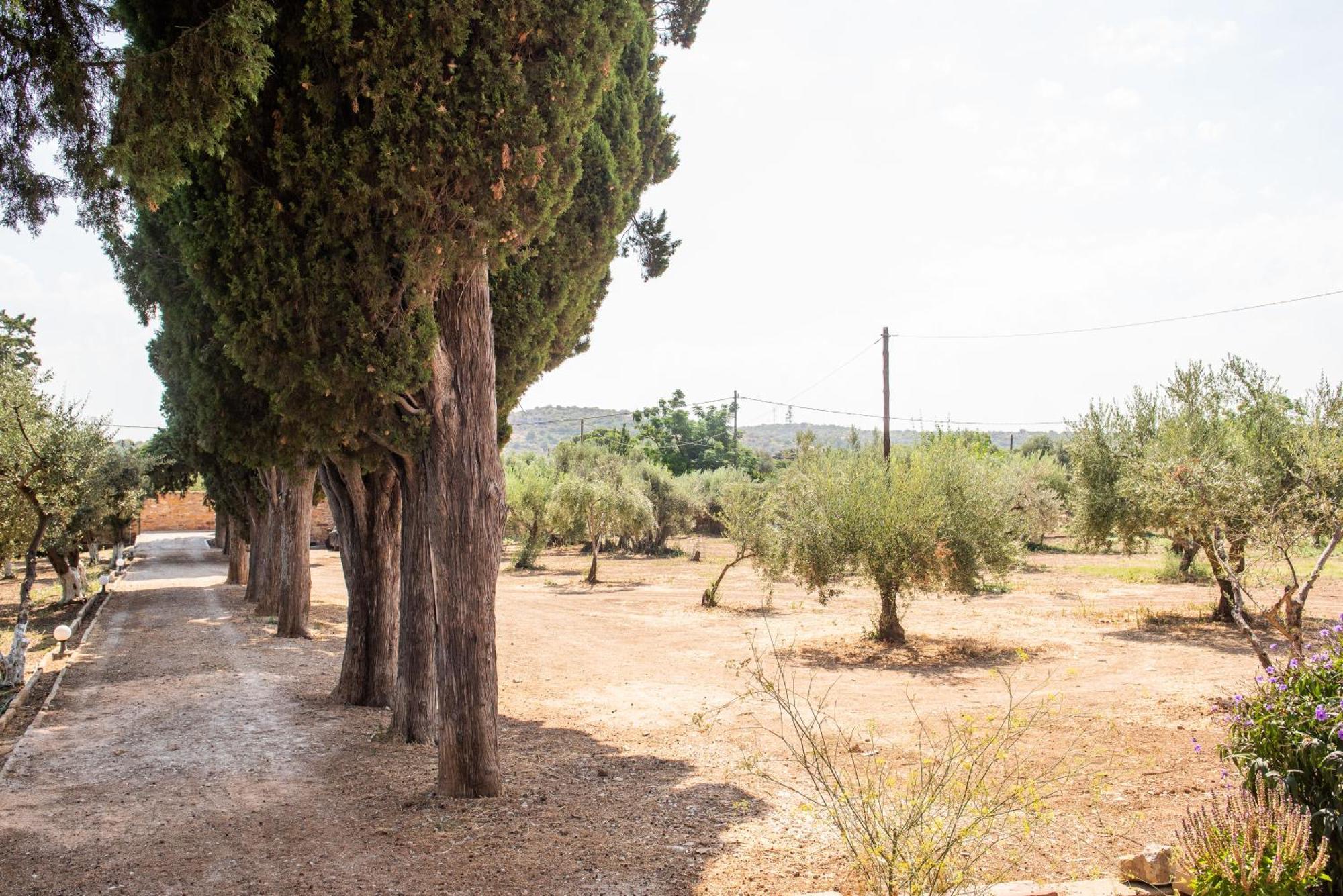 Calvocoressi Estate Sakız Dış mekan fotoğraf