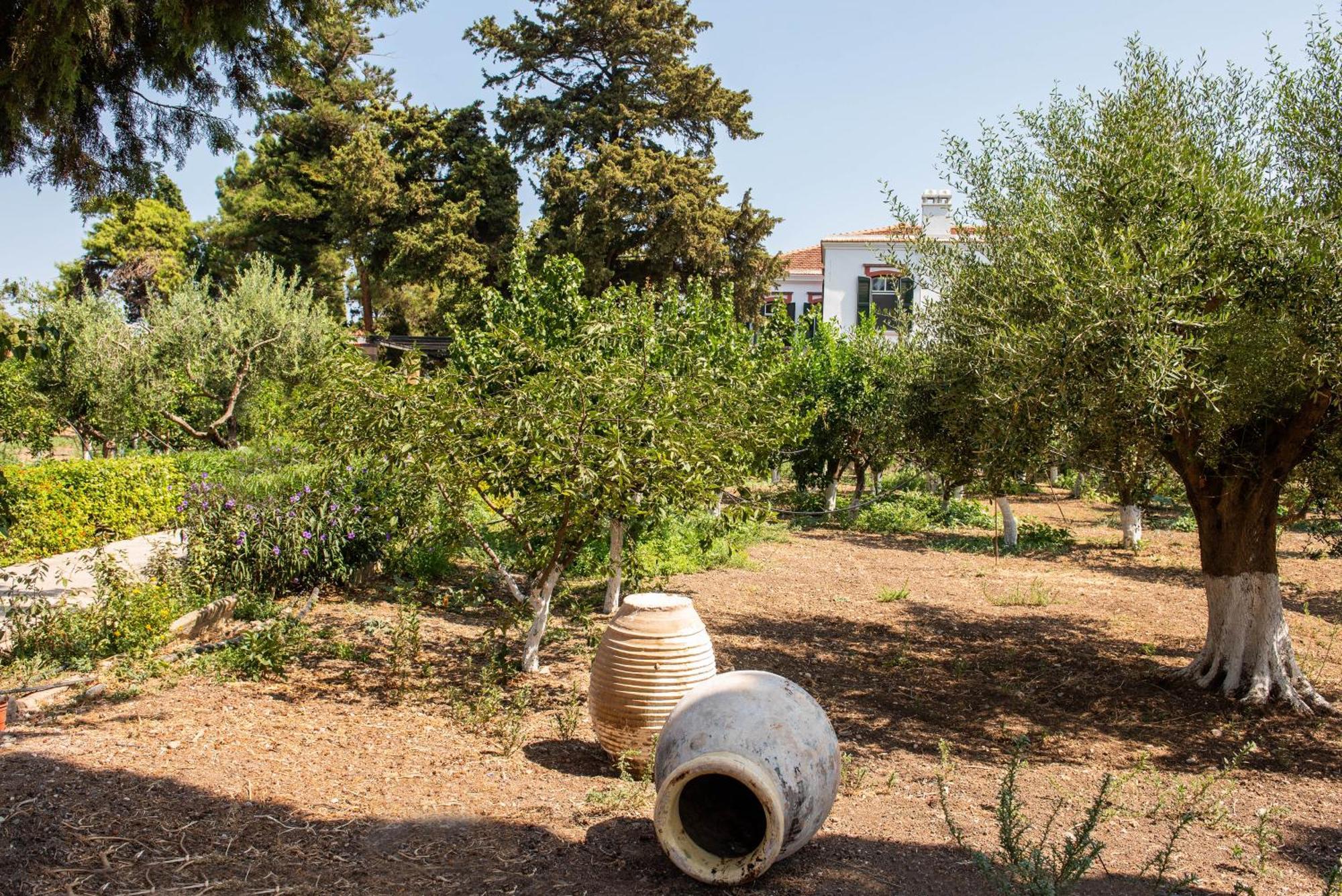 Calvocoressi Estate Sakız Dış mekan fotoğraf