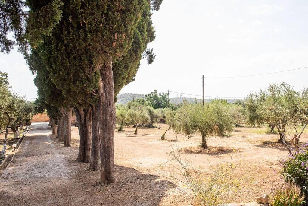 Calvocoressi Estate Sakız Dış mekan fotoğraf