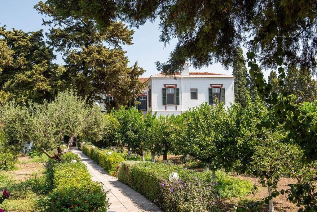 Calvocoressi Estate Sakız Dış mekan fotoğraf